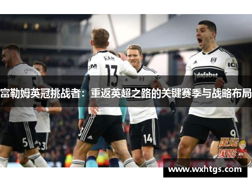 富勒姆英冠挑战者：重返英超之路的关键赛季与战略布局