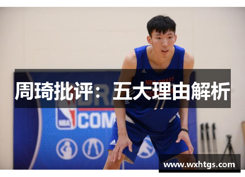 周琦批评：五大理由解析