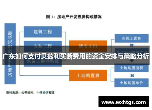 广东如何支付贝兹利买断费用的资金安排与策略分析