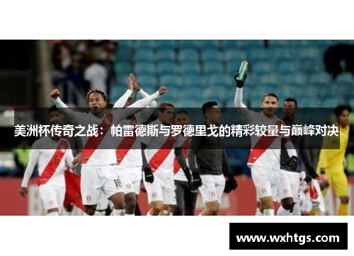 美洲杯传奇之战：帕雷德斯与罗德里戈的精彩较量与巅峰对决