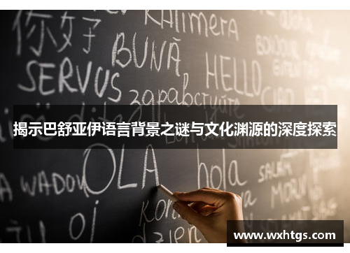 揭示巴舒亚伊语言背景之谜与文化渊源的深度探索